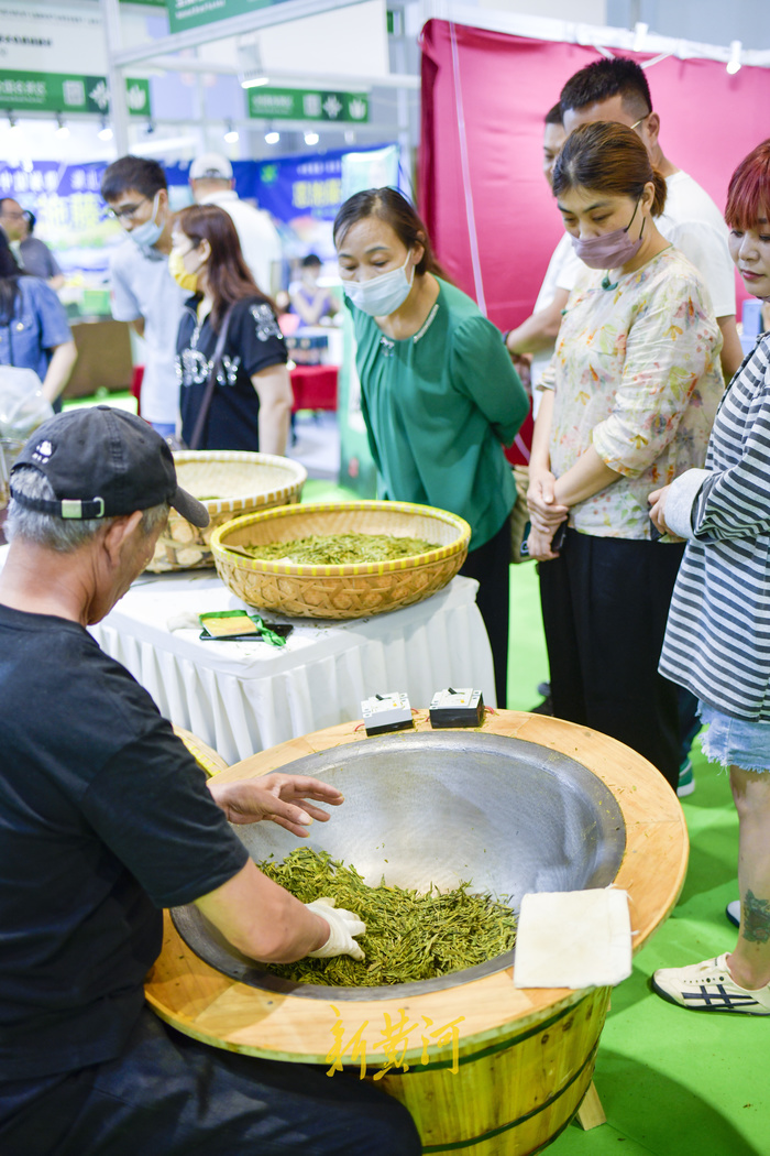 百余种名茶集中亮相，周末来茶博会“茶”看不一样的精彩