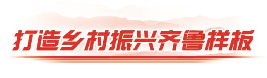 抓好“七个提档升级”，争当“五好学生”——聚焦全省乡村振兴齐鲁样板现场推进会议（下）
