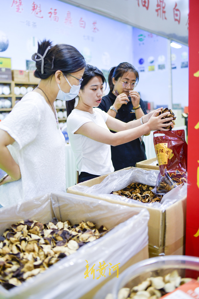 百余种名茶集中亮相，周末来茶博会“茶”看不一样的精彩