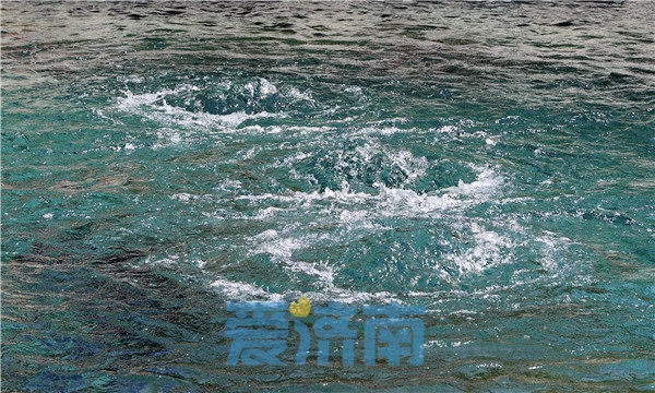 每天都在破纪录！“趵突腾空”已持续327天