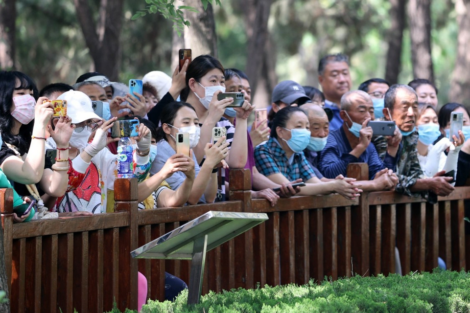 大熊猫“雅吉”在济喜过9周岁生日