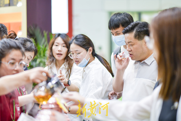 百余种名茶集中亮相，周末来茶博会“茶”看不一样的精彩