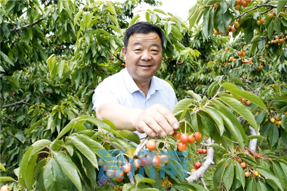 快收好这份采摘指南，在济南一起酸甜一夏