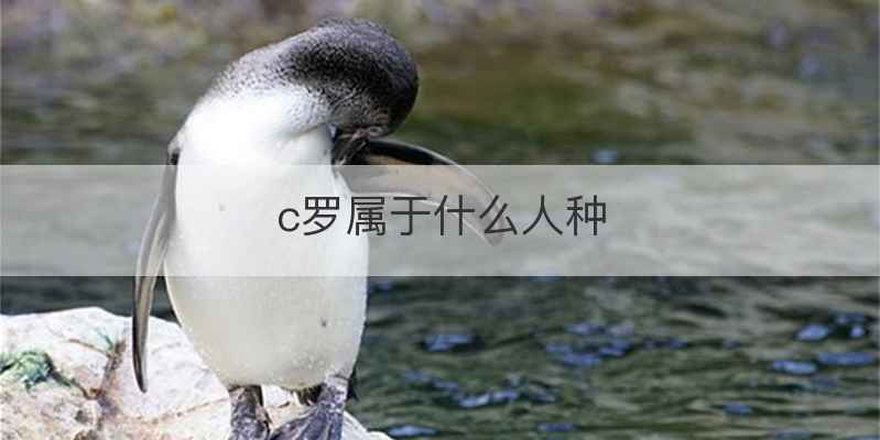 c罗属于什么人种