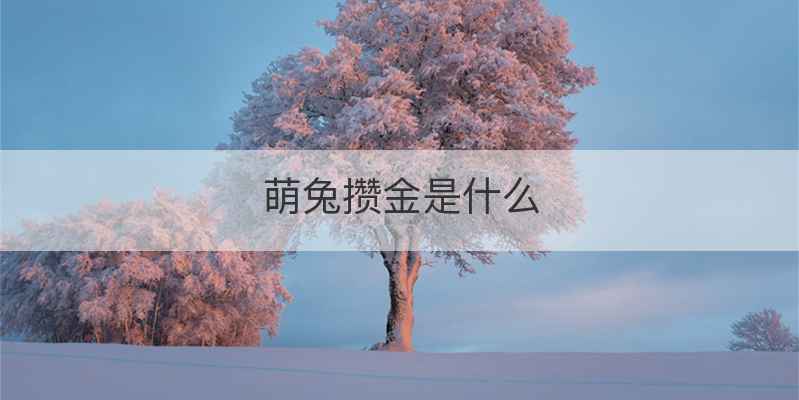 萌兔攒金是什么