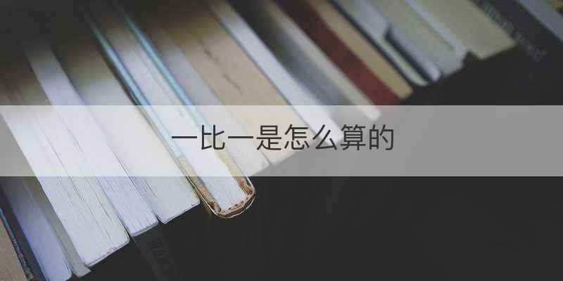 一比一是怎么算的