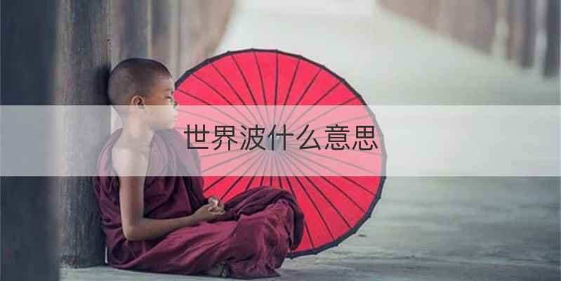 世界波什么意思