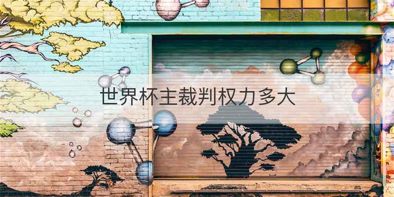 世界杯主裁判权力多大