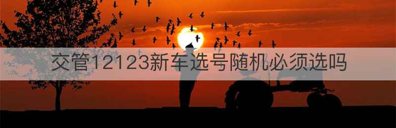 交管12123新车选号随机必须选吗