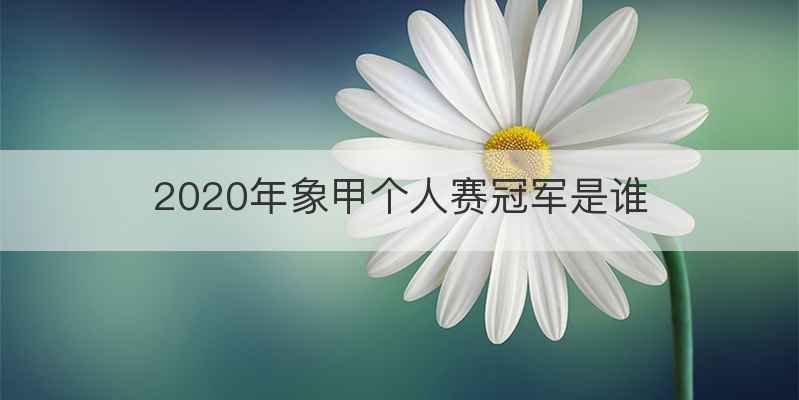 2020年象甲个人赛冠军是谁