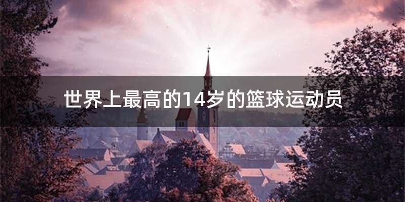 世界上最高的14岁的篮球运动员