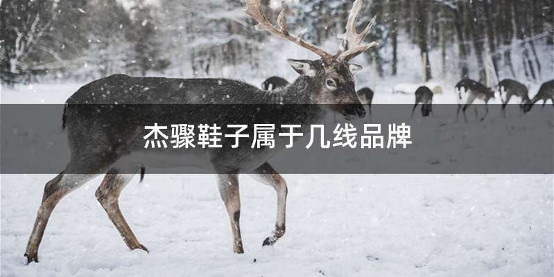 杰骤鞋子属于几线品牌