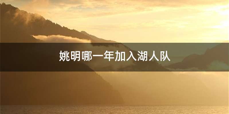 姚明哪一年加入湖人队