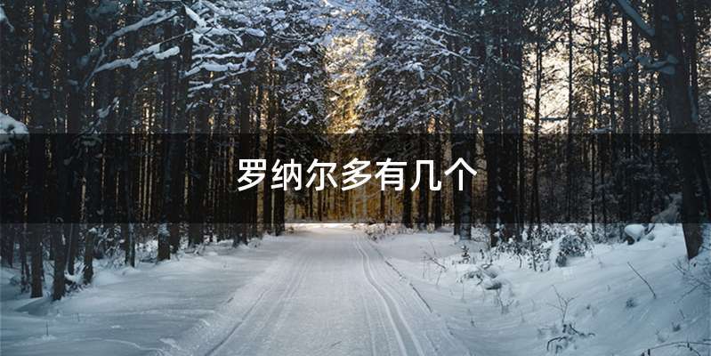 罗纳尔多有几个