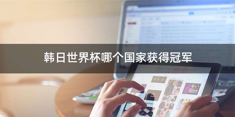韩日世界杯哪个国家获得冠军