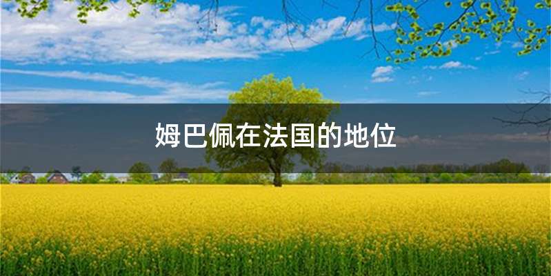 姆巴佩在法国的地位