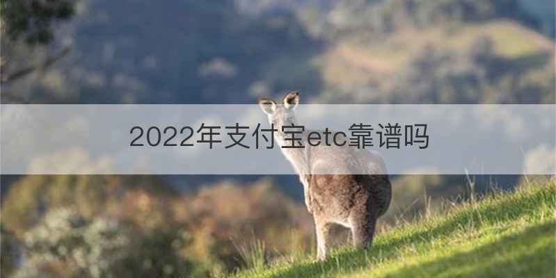 2022年支付宝etc靠谱吗