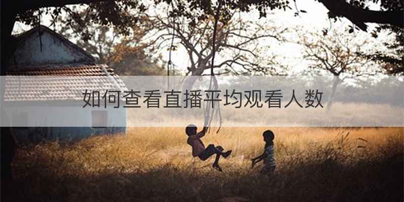 如何查看直播平均观看人数
