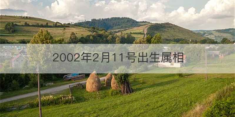 2002年2月11号出生属相