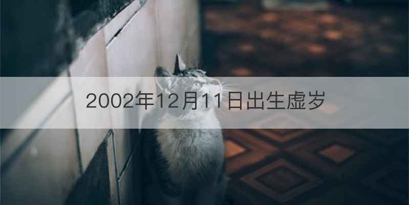 2002年12月11日出生虚岁