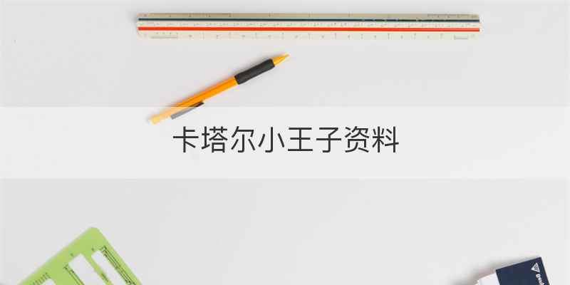 卡塔尔小王子资料
