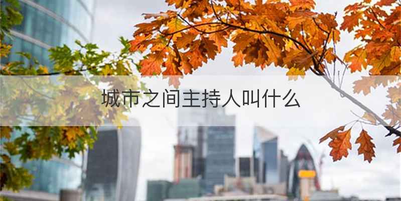 城市之间主持人叫什么