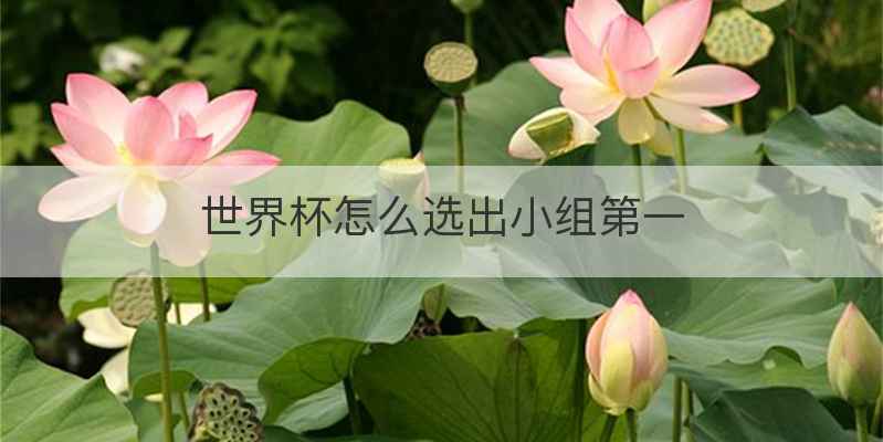世界杯怎么选出小组第一