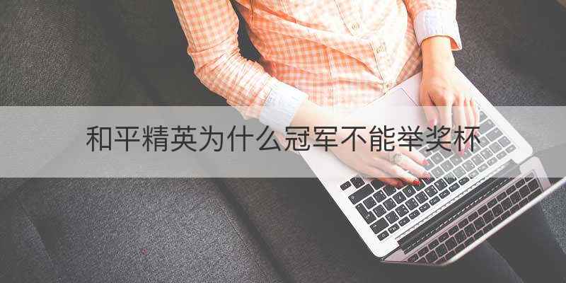 和平精英为什么冠军不能举奖杯