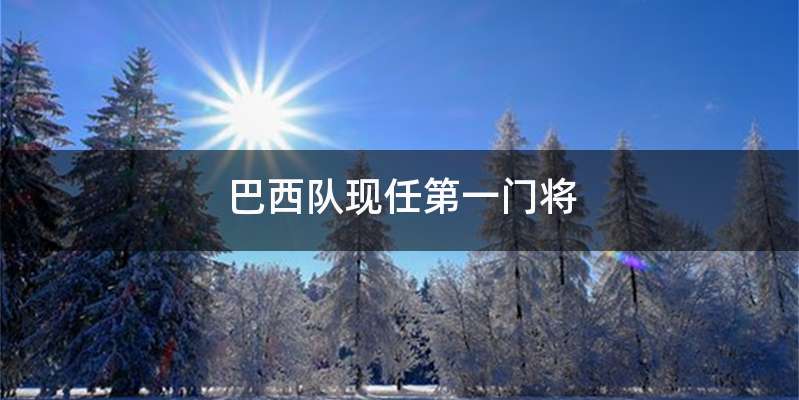 巴西队现任第一门将