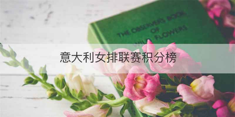 意大利女排联赛积分榜