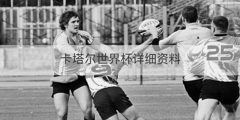 卡塔尔世界杯详细资料