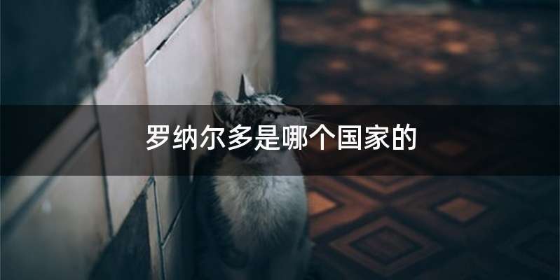 罗纳尔多是哪个国家的