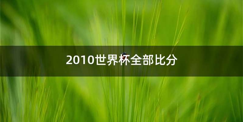 2010世界杯全部比分