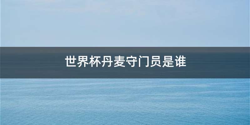 世界杯丹麦守门员是谁