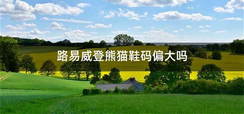 路易威登熊猫鞋码偏大吗