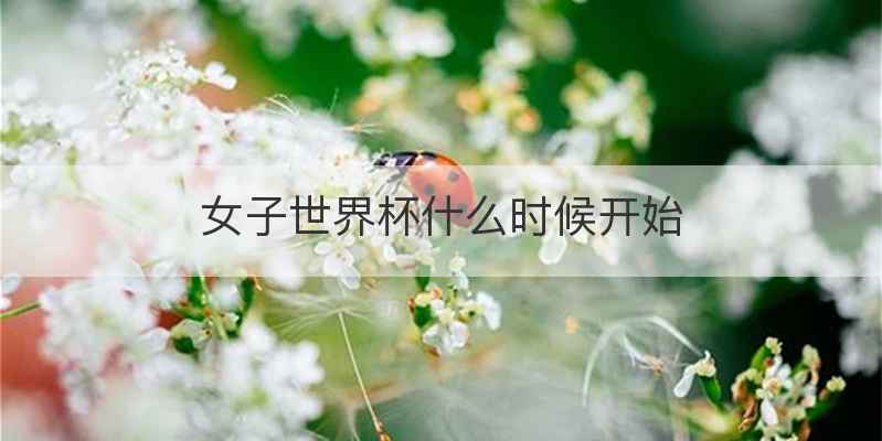 女子世界杯什么时候开始
