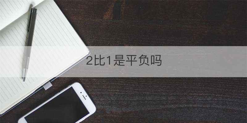 2比1是平负吗