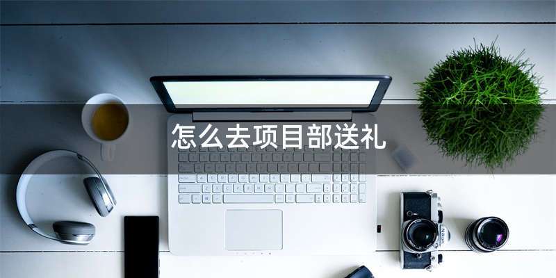 怎么去项目部送礼