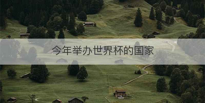 今年举办世界杯的国家