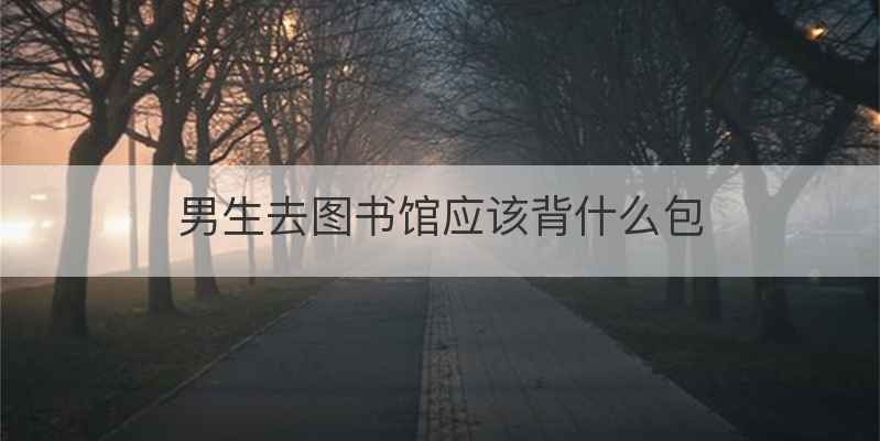 男生去图书馆应该背什么包