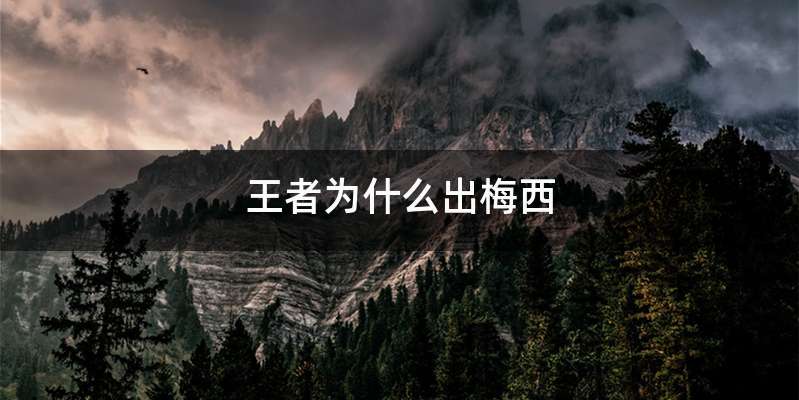 王者为什么出梅西