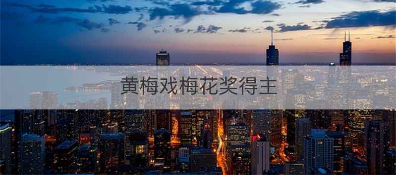 黄梅戏梅花奖得主
