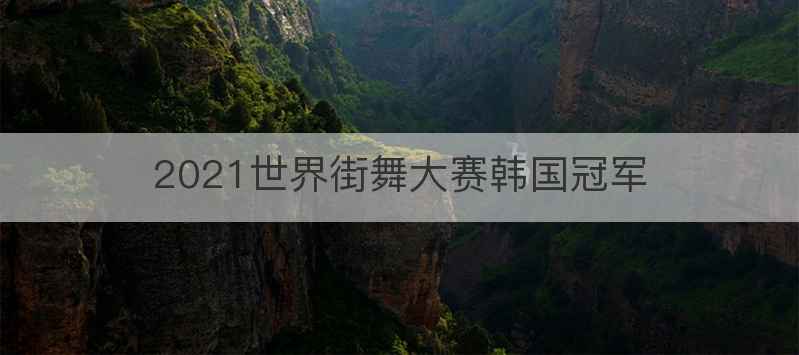 2021世界街舞大赛韩国冠军