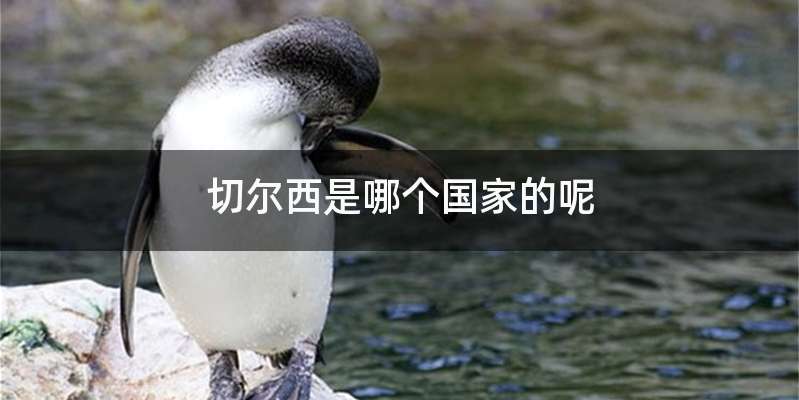 切尔西是哪个国家的呢