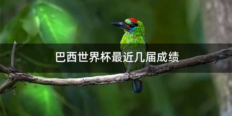 巴西世界杯最近几届成绩