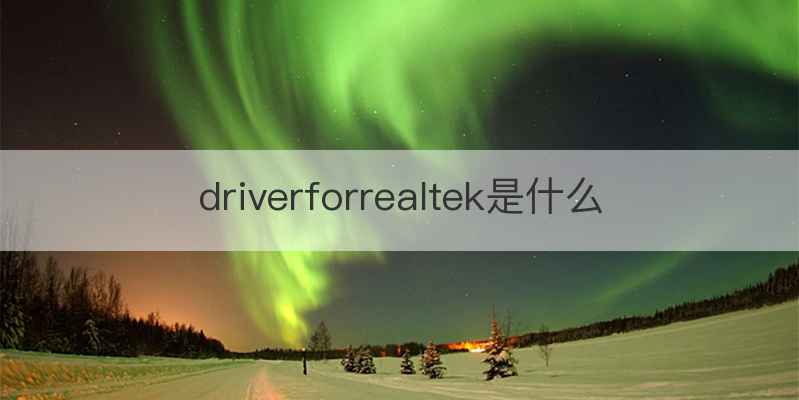 driverforrealtek是什么