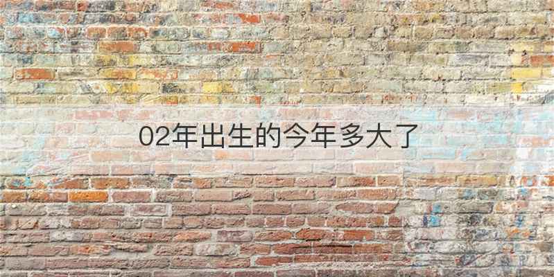 02年出生的今年多大了