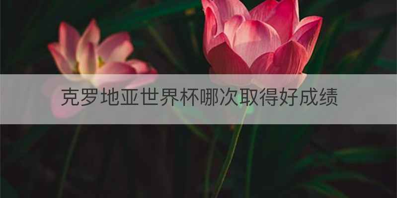 克罗地亚世界杯哪次取得好成绩
