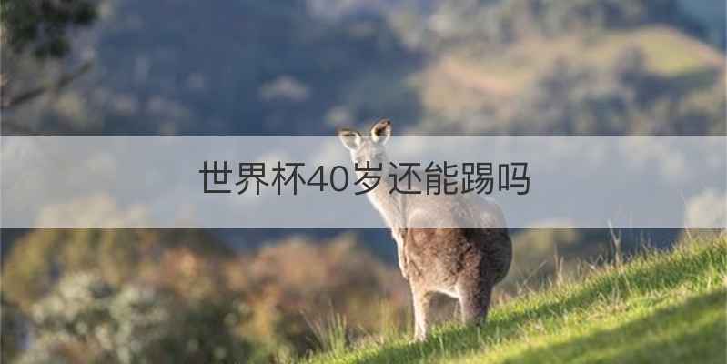 世界杯40岁还能踢吗