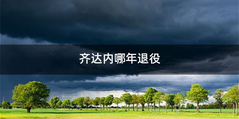 齐达内哪年退役